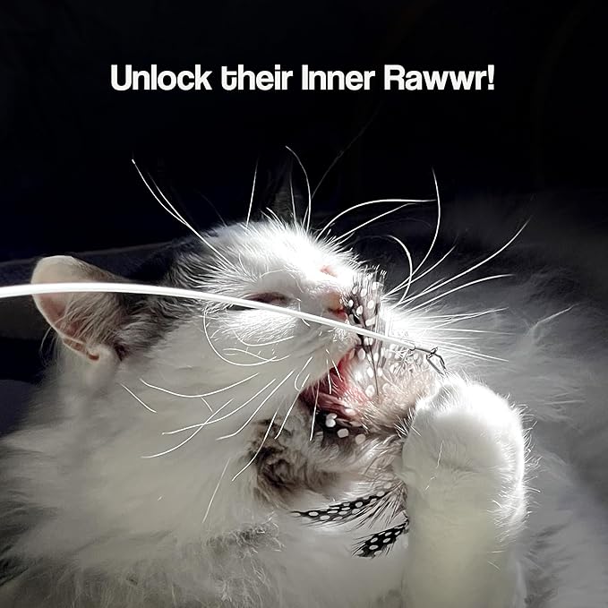 Cat Wand Toy Set – 2 Feather Teaser Wands with 4 Interchangeable Refills, 27" Flexible Wire & Wooden Handle, Interactive Play for Indoor Cats and Kittens