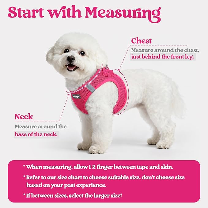 rabbitgoo Dog Harness Small Medium Sized and Leash Set, Step in Soft Light Puppy Vest, Breathable Mesh Pet Harness, Reflective for Safe Easy Walking, Rosa Red XL