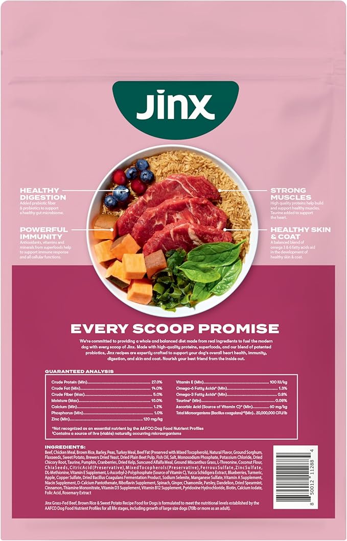 Jinx Premium Dry Dog Food, for All Lifestages - Real Beef, Brown Rice & Sweet Potato Kibble with Superfoods for Immune Support & Probiotics for Digestive Support - No Fillers - 4lb