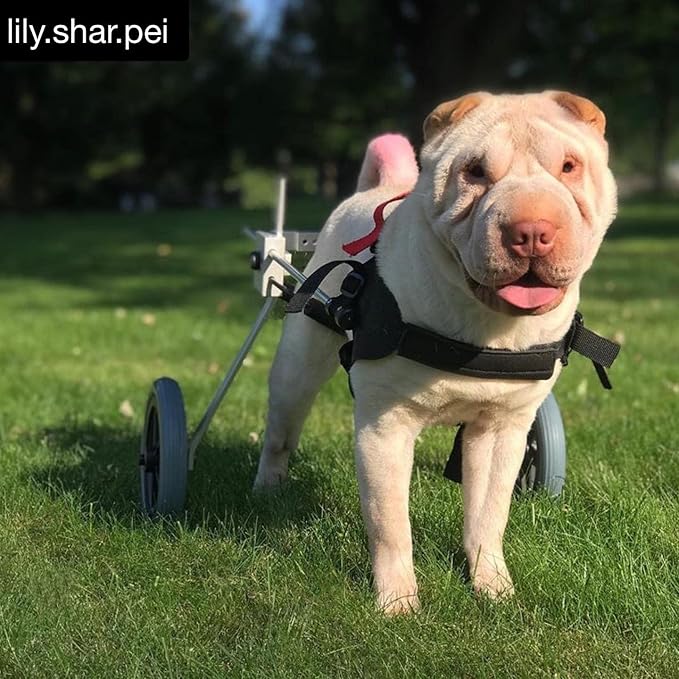 Dog Wheelchair