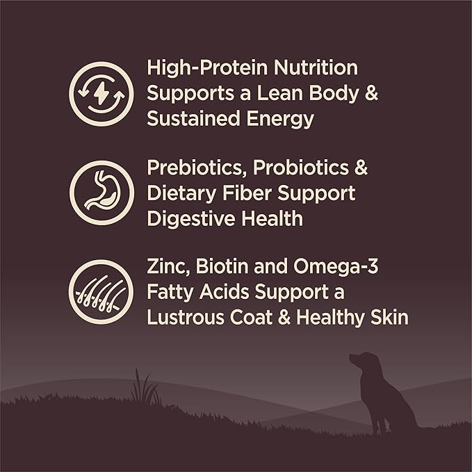 Wellness Natural Pet Food CORE Natural Grain Free Dry Dog Food, Wild Game Duck, Turkey, Boar & Rabbit, 12-Pound Bag