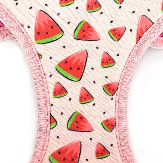 Dog Harness and Leash Set, Adjustable Dog Harness, Dog Leash, No Pull No Choke Puppy Harnesses for Walking Training for Small Medium Pet