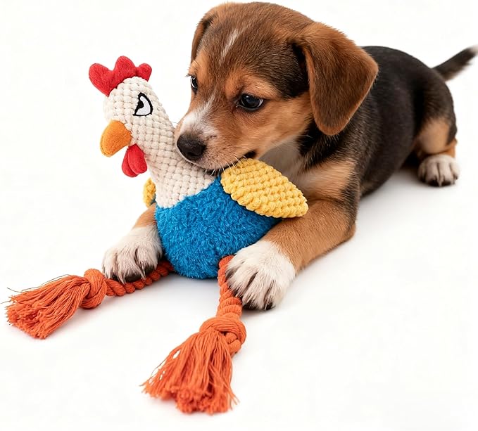 Plush Rooster Dog Toy with Squeaker, Interactive Rope Legs, Colorful Textured Chew Toy for Small, Medium Dogs, Tug-of-War, Fetch