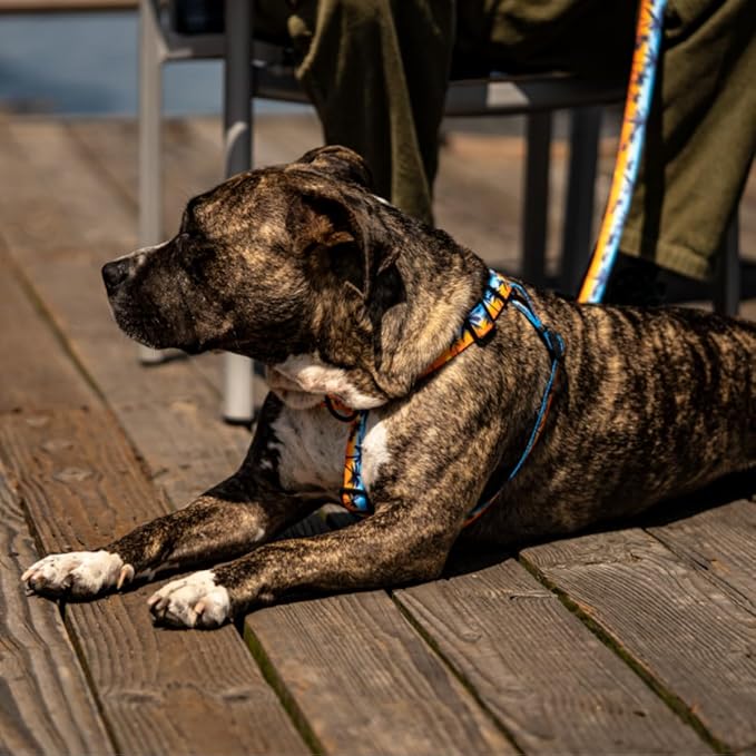 Wolfgang Heavy Duty Adjustable Dog Harness, Pull-Tested to Over 800 lbs for Walking & Training, SunsetPalms Print, Medium