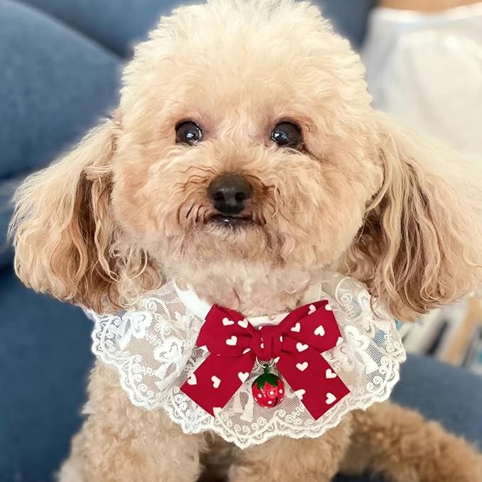 Elegant Lace Cat Collar with Cute Bow,Kitty Necklace with Bow Tie and Strawberry Small Bell,Pet Lace Bib Collar with Cute Bow,Cat Princess Costumes,Red,1 Piece