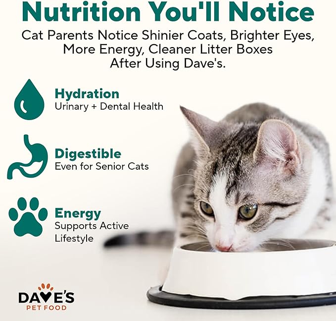 Dave's Pet Food Grain Free Wet Cat Food Gravy (Turkey & Giblets Dinner in Gravy), Made in USA Naturally Healthy Canned, Added Vitamins & Minerals, 5.5 oz Cans (24 Pack)