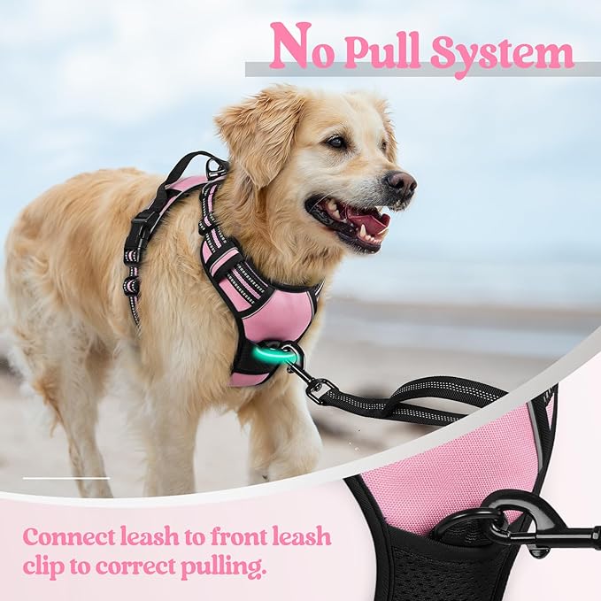 rabbitgoo Dog Harness No Pull with 2 Leash Clips, Adjustable Soft Padded, Reflective Oxford No Choke Pet Vest with Easy Control Handle for Small Dogs, Pink, S