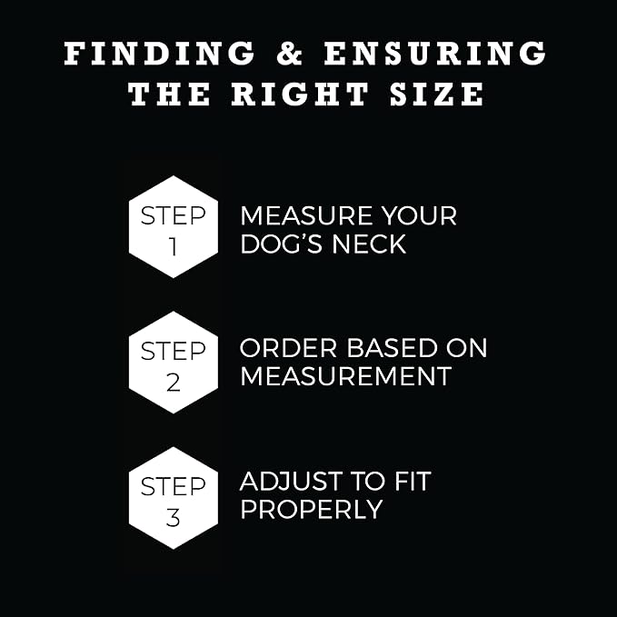 Wolfgang Heavy Duty Martingale Dog Collar with Quick Release Nylon Buckle for Walking & Training, DigitalDog Print, Small