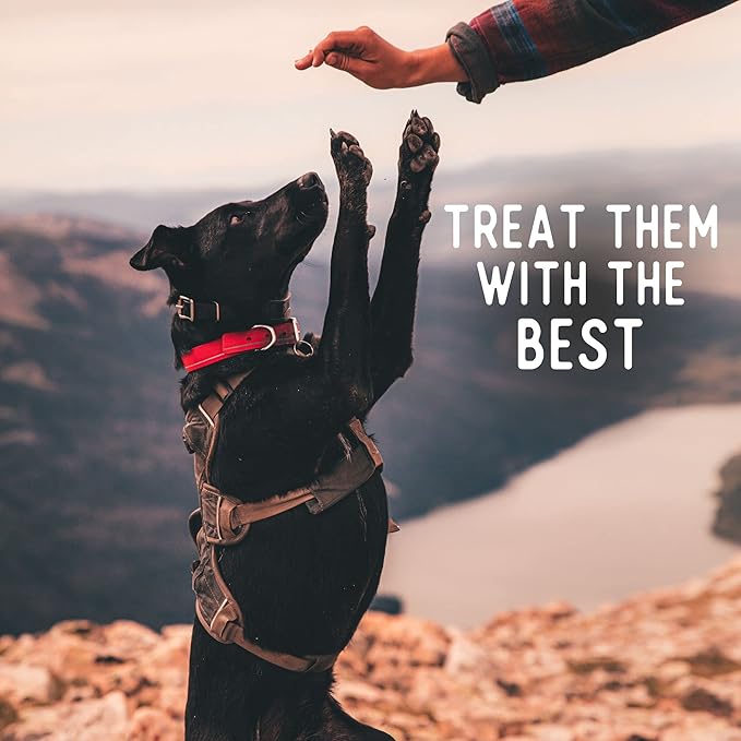 Beg & Barker Beef Chips for Dogs (8 Ounce, Pack of 1) - Single Ingredient Dog Treats Made for Large & Small Dogs Protein Human Grade Dog Treats Made from Real Meat Beef, Made in USA