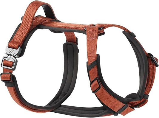 PawsPassion Dog Harness for X-Large Dogs, No Pull Dog Harness Easy Walk with Metal Hardware, Ergonomic Y-Shaped Design, Soft Padding, Padded Handle, Durable High-Tensile Nylon (Canyon Red, XL)