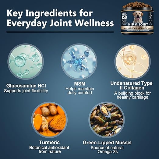 Glucosamine for Dogs - 150 Soft Chews, Hip & Joint Supplement with MSM, Chondroitin, Turmeric – Joint Support for Dogs Chicken Flavor – Vet Formulated – 2-Month Supply