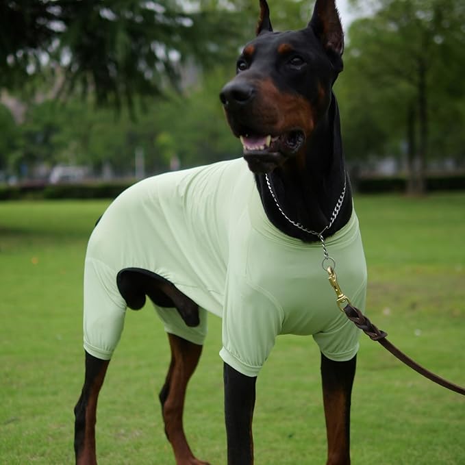 LoveLongLong Dog Jumpsuit with UV Protection and Quick-Dry Fabric for Spring Summer Pet Pajamas Light Green M