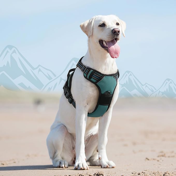 Eagloo Dog Harness for Large Dogs, No Pull Service Vest with Reflective Strips and Control Handle, Adjustable and Comfortable for Easy Walking, No Choke Pet Harness with 2 Metal Rings, Dark Green, L