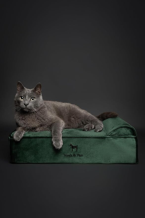 NOAH & PAW Small Dog Bed, 20x15x6.5 Inch, Cat Bed for Indoor Cats, Orthopedic Eggshell Memory Foam Infused with Cooling Gel, Waterproof, Machine Washable, Includes Inner Cover (Velvet Collection)