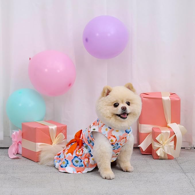 CuteBone Velvet Dog Dresses for Small Dogs, Stylish & Soft Fabric, Comfortable Fit for Everyday Wear, Perfect for Special Occasions NCVA13S