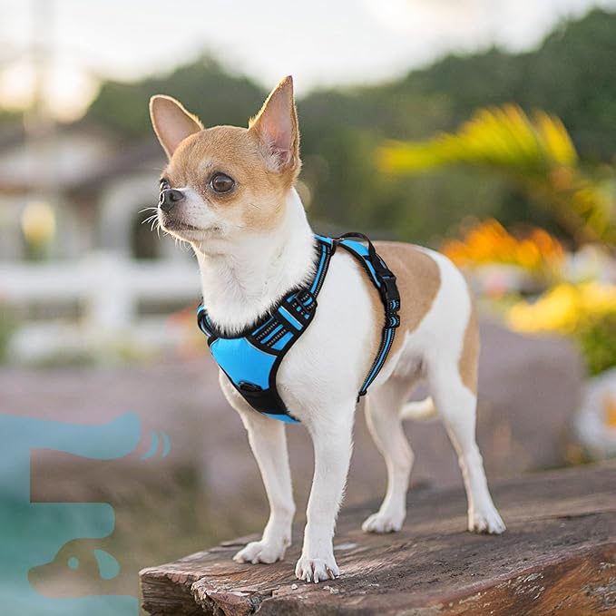 Eagloo Small Dog Harness No Pull, Service Vest with Reflective Strips and Control Handle, Adjustable and Comfortable for Walking, No Choke Pet Harness with 2 Metal Rings, Sky Blue, XS