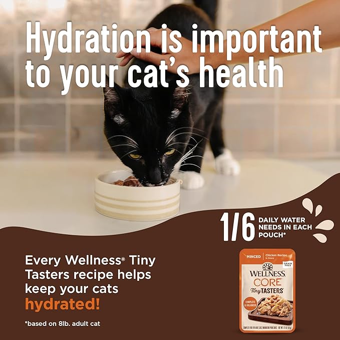 Wellness CORE Tiny Tasters Adult Wet Cat Food, Natural, Protein-Rich, Grain Free, 1.75-Ounce Pouch, 12 Pack, (Seafood & Poultry Variety Pack)