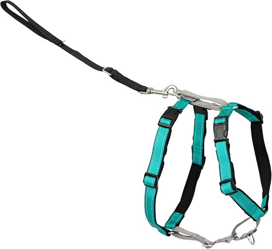 PetSafe 3-in-1 Harness - Comfortable Easy-Walk Dog Chest Harness with Front Leash Attachment to Reduce Pulling, Choking & Gagging - Dog Obedience Gear - Medium - Teal