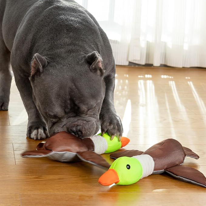 Dog Plush Toy for Aggressive Chewer, Upgrade 10 Times Durablity Dogs Squeaky Toy, Though Large Stuffed Animal Dog Toys, Big Dogs Toys for Small, Medium, Large Breed(Duck)