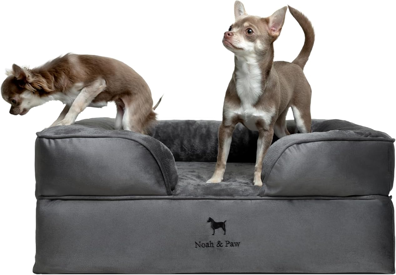 NOAH & PAW Dog Bed, 28x23x11 Inch, Orthopedic Dog Beds for Medium Size Pets, Eggshell Memory Foam Infused with Cooling Gel, Inner Cover, Waterproof, Machine Washable (Velvet Sofa Collection)