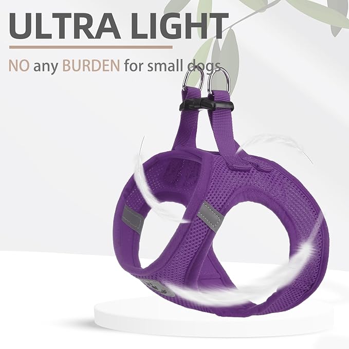 PUPTECK Adjustable Dog Harness Collar and Leash Set Step in No Pull Pet Harness for Small Medium Dogs Puppy and Cats Outdoor Walking Running, Soft Mesh Padded Reflective Vest Harnesses