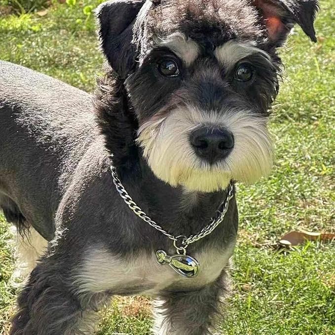 Dogs ID Tags Personalized Double Sided Deep Engraved Cat & Dog Collar Charm Drumstick Balloon Shape Brass