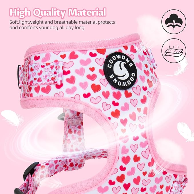 Dog Harness and Leash Set, Adjustable Dog Harness, Dog Leash, No Pull No Choke Puppy Harnesses for Walking Training for Small, Medium Pet (Little Love, M(Chest 17.7-23.1", Neck 13.4-16.4"))