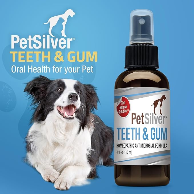 PetSilver Teeth & Gum Spray - Dog Dental & Teeth Cleaning Spray for Plaque & Tartar Build-Up Reduction - Natural Breath Freshener for Dogs & Cats - Patented Chelated Silver - Made in USA - 4oz, 2-Pack