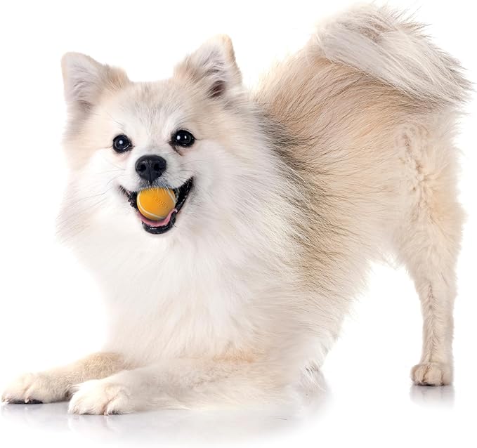 Playology Dog Toys | Squeaky Chew Ball - Bouncy Durable Floating Fetch Ball for Dogs, Value 3-Pack | Small Cheddar Cheese Scented Toy - Easy to Clean and Made from Non Toxic Materials