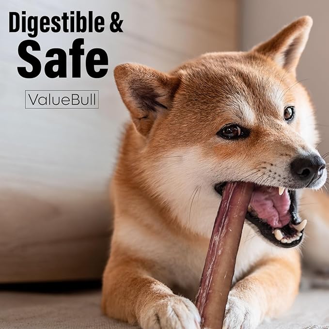 ValueBull Bully Sticks for Dogs, Medium 6 Inch, 50 Count - All Natural, Grass Fed, Single Ingredient, Long Lasting Dog Treats