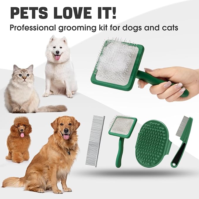 Dog Slicker Brush for Dogs Grooming Kit 4PCS | Large Dog Brush for Goldendoodles Poodles Doodles | Long Pin Haired Brush | Poodle Brushes and Comb (Green)
