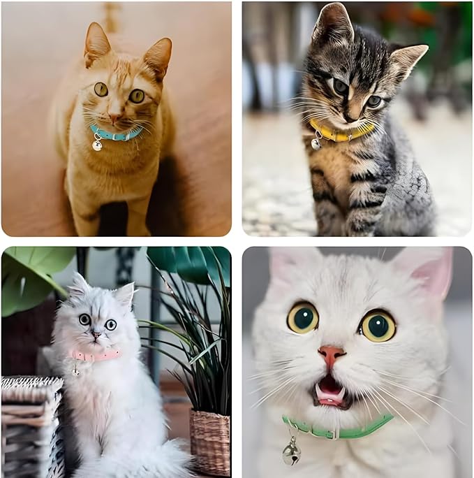 Orange XS Cat Collar with Bell, Soft Pu Leather Dog Collars Adjustable Buckle for XXS Extra Small Medium Tiny Female Male Boys Girls Pets Puppy Kitten Teacup Yorkie X-Small