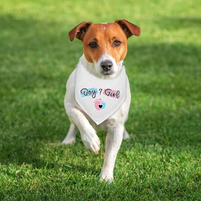 He Or She What Will It Be? Gender Reveal Announcement Dogs Bandana Dog Baby Announcement New Baby Shower Photo Prop Pet Scarf Accessories for Dog Lovers Gift - Blue/Pink