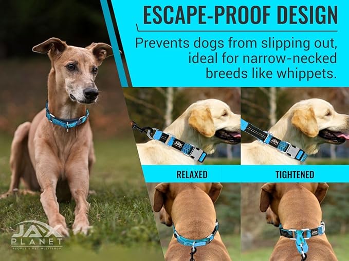 Blue Martingale Collar for Dogs - Heavy Duty Nylon Pet Collars for Escape-Free, No Pull Training & Walking with Alloy Metal Release Buckle & Reflective D Ring, One Time Adjustment, Safe & Secure, M