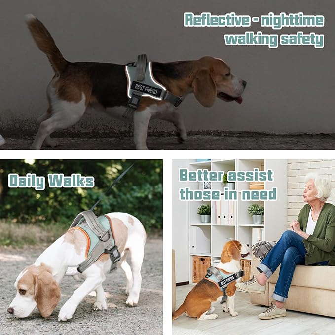 AUROTH Dog Harness and Leash Set, Soft Padded Service Dog Vest with 5.25FT Dog Leash, No Choke, Easy On Pet Vest, Adjustable Reflective No Pull Dog Harness for Large Dogs, Easy Walking and Training