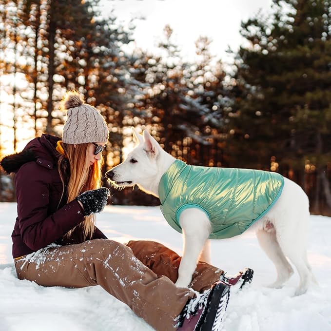 ASENKU Dog Winter Coat - Waterproof Windproof Dog Jacket, Warm Snowproof Doggie Puffer Vest for Cold Weather, Lightweight Snow Coats for Small Medium Large Dogs (Mint Green, M)