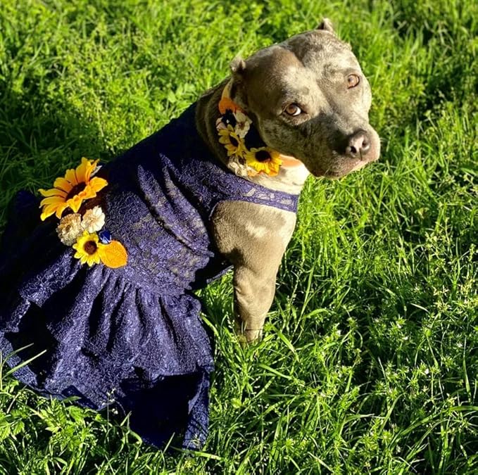Sunflower Dog Dress, Navy Floral Wedding & Special Occasion Dress, XX-Large (25-35 lbs)