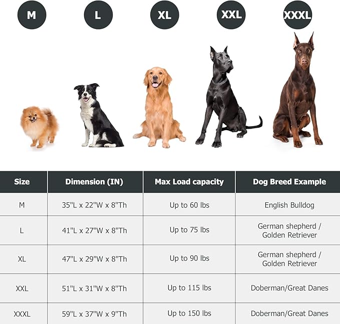 Elevated Dog Bed for Outdoor, XL Raised Dog Cot with Washable Mesh, Cooling Pet Cot Chew Proof for Outside Camping, 47 inch Brown