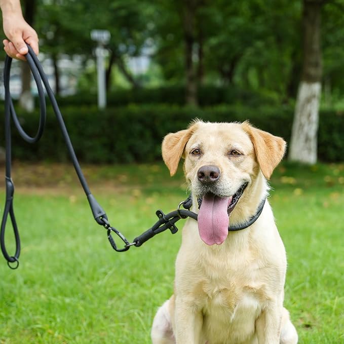 Rope Dog Leash, 4 ft Heavy Duty Dog Leash with Aviation Aluminum Auto Locking Carabiner, Strong Nylon Pet Lead for Small, Medium, Large Dogs (Rose Red, 4FT)