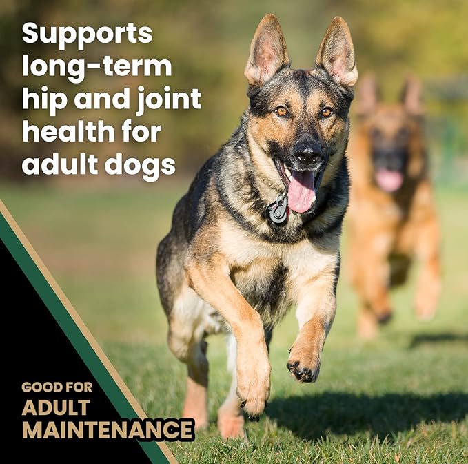 VICTOR Super Premium Dog Food – Purpose Hero Canine Kibble – Premium Gluten Free Dog Food for Active Adult Dogs – High Protein with Glucosamine and Chondroitin for Hip and Joint Health, 30lbs