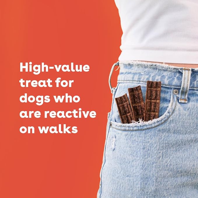 Pupford Pork Jerky for Dogs & Puppies, All-Natural, Healthy Dog Treats, No Fillers, Made in USA (16 oz)