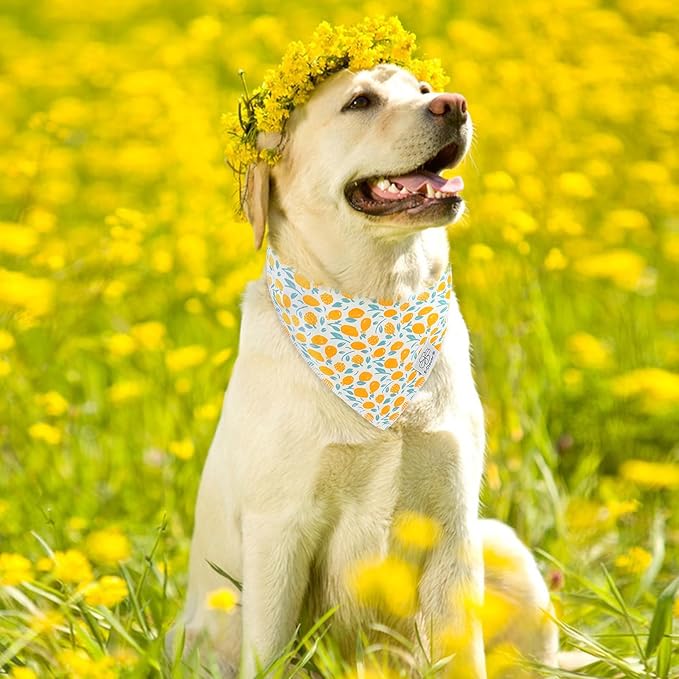 E-Clover Yellow Floral Dog Bandanas & Matching Scrunchie Set Summer Cute Dog Scarf Bibs Pet Bandana with Bow Tie for Small Dogs Puppy Owner Mom Spring