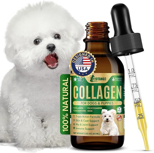 Liquid Collagen for Dogs, Natural Dog Collagen for Skin & Coat Support, Immune Support, Joint & Mobility Care with MSM, Middle-Aged and Older Dogs (Bacon Flavor - 60ml)