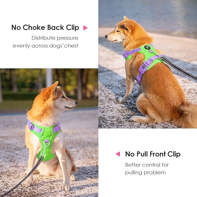 PHOEPET No Pull Dog Harness, Unique Colors Reflective Adjustable Dog Vest, with Soft Training Handle Metal Clips for Small Medium Large Dogs (Green Base & Purple Straps,M)
