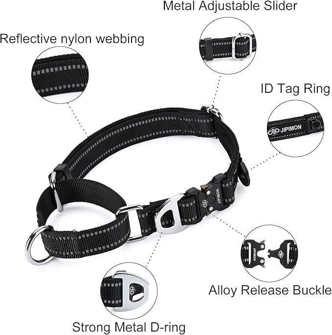 Martingale Dog Collar Reflective Nylon Soft Cushion with Alloy Buckle Dog Collar Martingale Small Medium and Large Dogs (Large, Red)