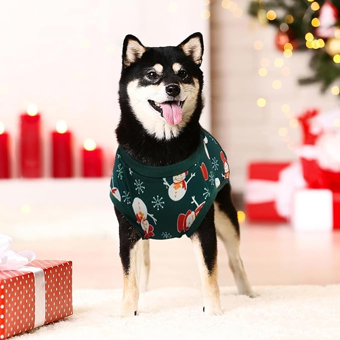 Kuoser Dog Surgery Recovery Suit, Doggie Surgical Bodysuit for Female Male Dogs, Pet Anti Licking Shirt for Spay Neuter Dog Cone Alternative