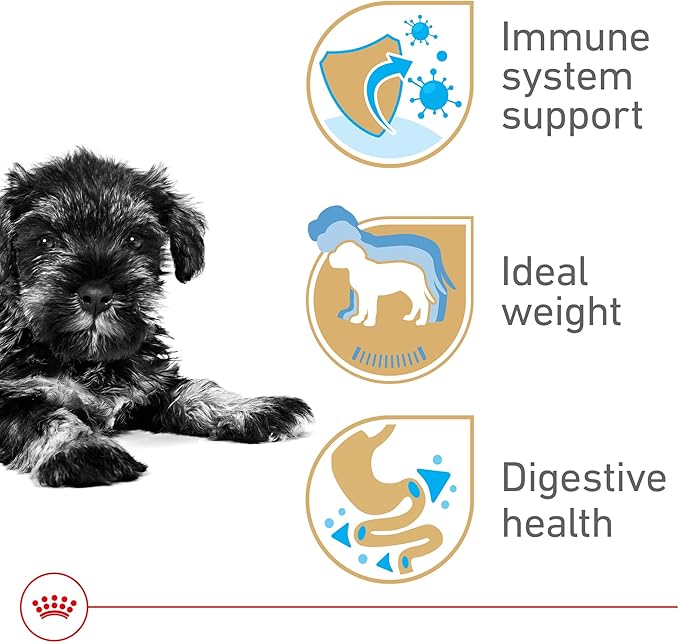 Royal Canin Breed Health Nutrition Miniature Schnauzer Puppy Dry Dog Food, 2.5 lb Bag