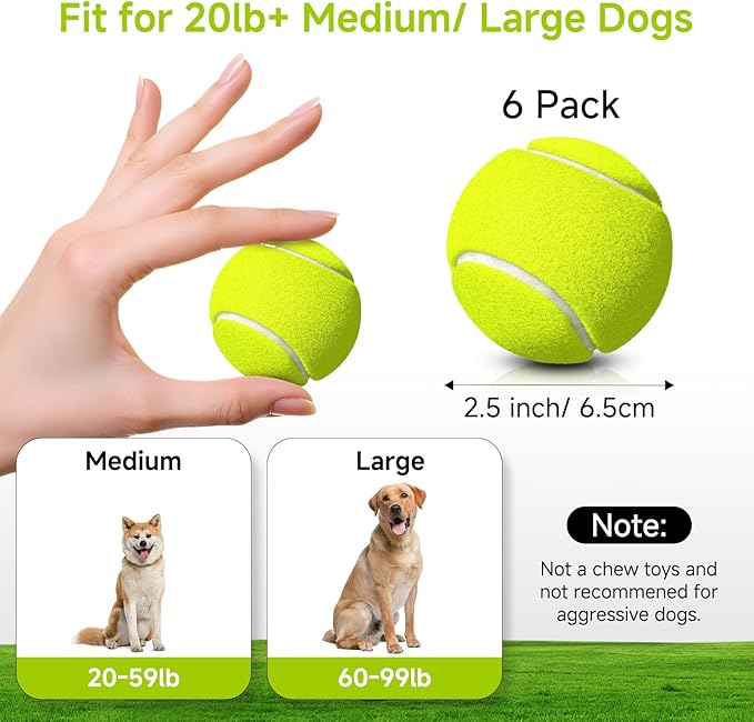HETOO Tennis Balls for Dogs: 6 Pack 2.5 Inch Dog Balls- Dog Tennis Ball- Outdoor Dog Toys Dogs Water Toys- Dog Toys Ball for Medium Large Dogs for Training Exercise Fetch- Yellow