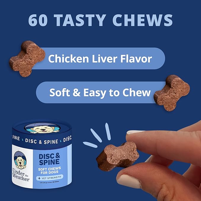 Under The Weather Pet Disc & Spine Health Chews for Dogs | Vet Formulated Dog Chews Spinal Disc Support Supplement | Ideal for Pugs French Bulldogs Dachshunds & Long-Backed Breeds with IVDD | 60 Count