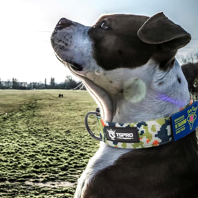 TSPRO Premium Dog Collars Tactical Dog Collar with Patch and Heavy Duty Quick-Release Metal Buckle Durable Thick and Adjustable for Medium to Large Dogs (Camo Green M)